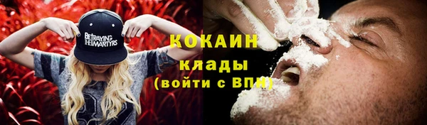 шишки Арсеньев