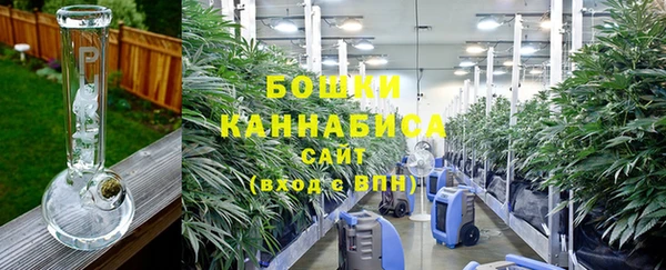 сатива Армянск
