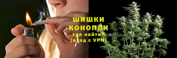 PSILOCYBIN Пересвет
