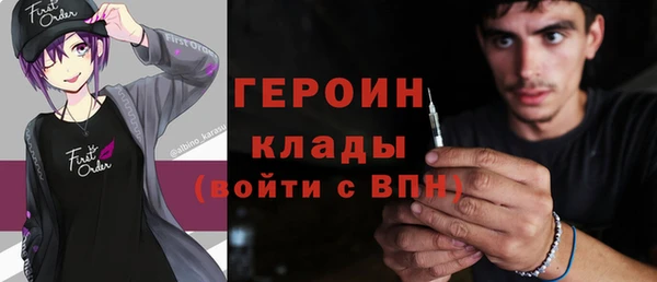 шишки Арсеньев