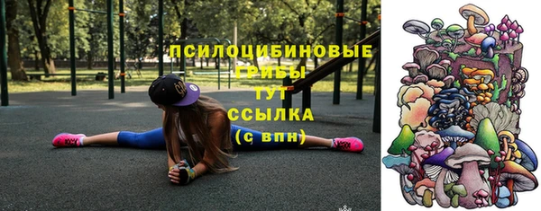 шишки Арсеньев