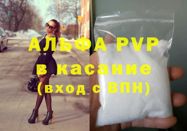 шишки Арсеньев