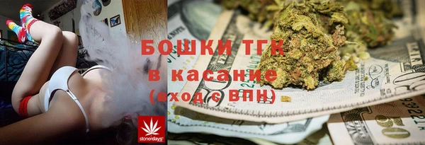 шишки Арсеньев