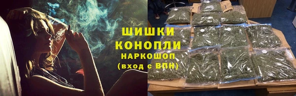 шишки Арсеньев