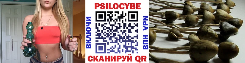 omg как войти  наркотики  Хилок  Галлюциногенные грибы мухоморы 